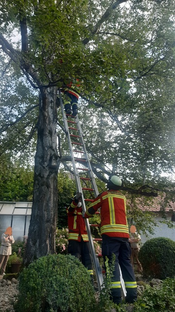 20210719_073340 bearbeitet groß.jpg